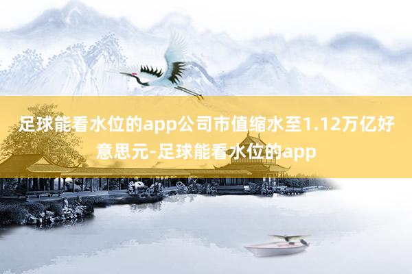 足球能看水位的app公司市值缩水至1.12万亿好意思元-足球能看水位的app