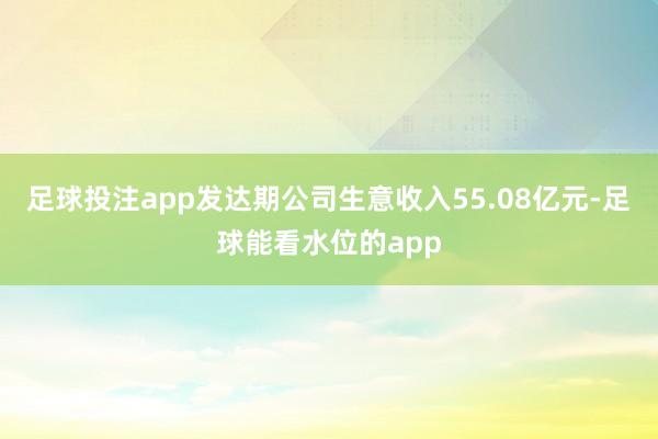 足球投注app发达期公司生意收入55.08亿元-足球能看水位的app