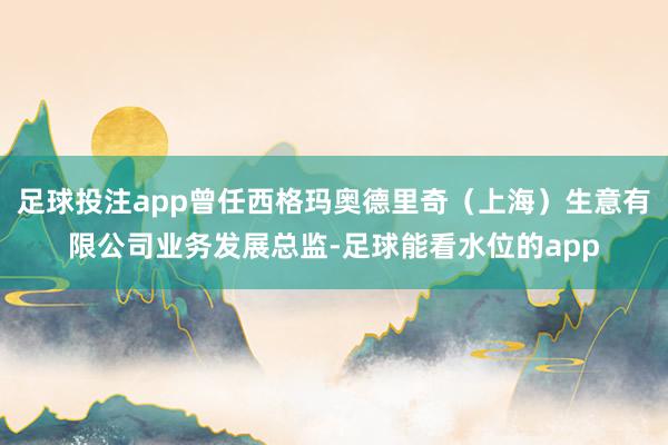 足球投注app曾任西格玛奥德里奇（上海）生意有限公司业务发展总监-足球能看水位的app