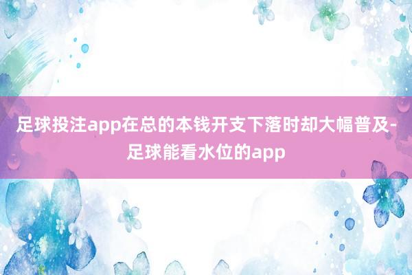 足球投注app在总的本钱开支下落时却大幅普及-足球能看水位的app