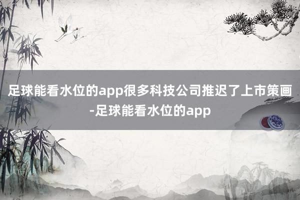 足球能看水位的app很多科技公司推迟了上市策画-足球能看水位的app