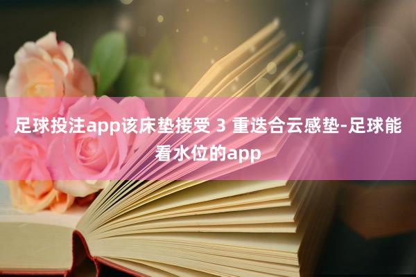 足球投注app该床垫接受 3 重迭合云感垫-足球能看水位的app