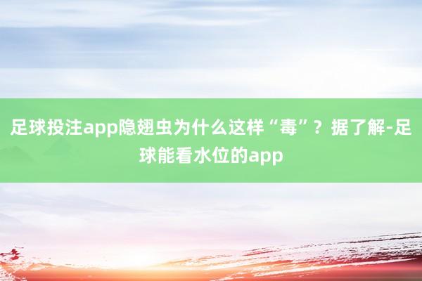 足球投注app隐翅虫为什么这样“毒”？据了解-足球能看水位的app