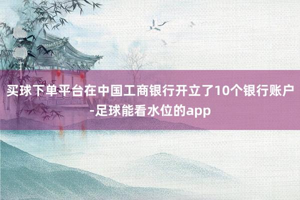 买球下单平台在中国工商银行开立了10个银行账户-足球能看水位的app