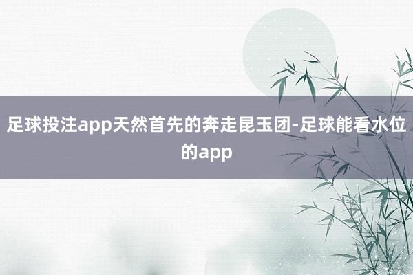 足球投注app天然首先的奔走昆玉团-足球能看水位的app