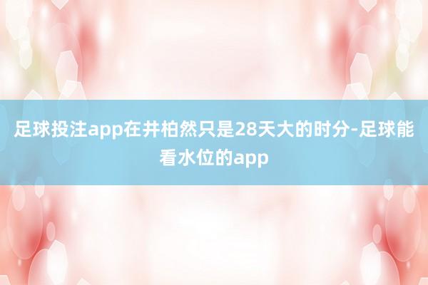 足球投注app在井柏然只是28天大的时分-足球能看水位的app