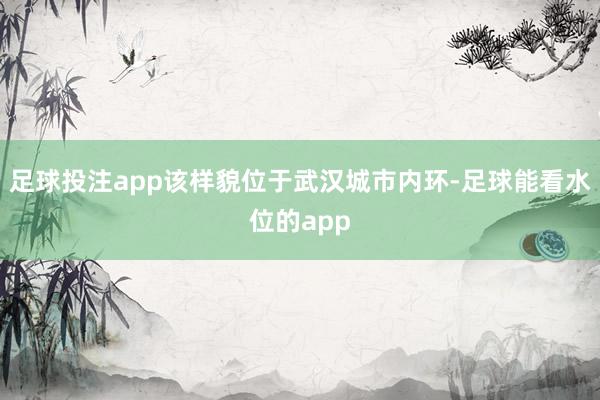 足球投注app该样貌位于武汉城市内环-足球能看水位的app