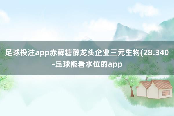 足球投注app赤藓糖醇龙头企业三元生物(28.340-足球能看水位的app