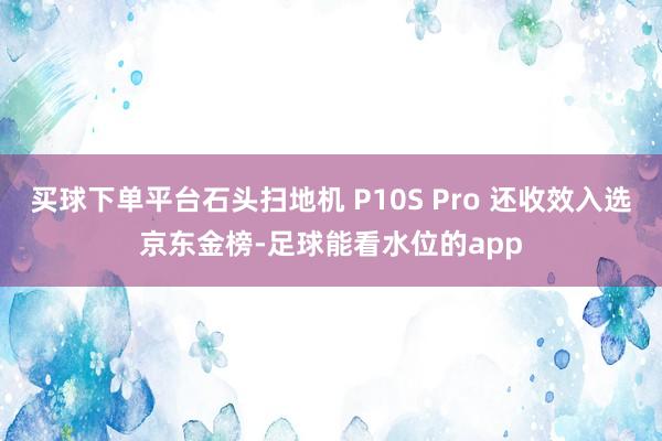 买球下单平台石头扫地机 P10S Pro 还收效入选京东金榜-足球能看水位的app