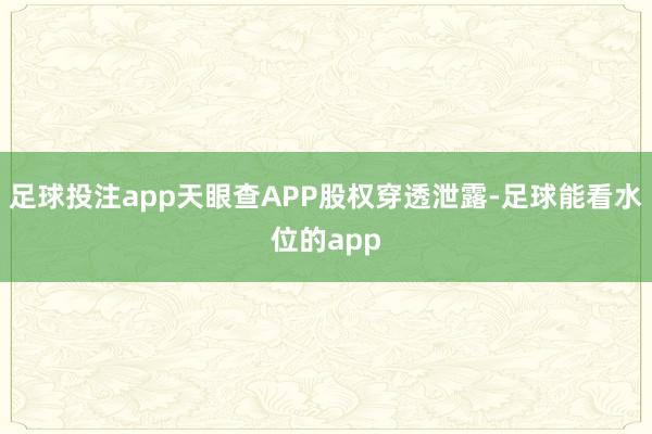 足球投注app天眼查APP股权穿透泄露-足球能看水位的app