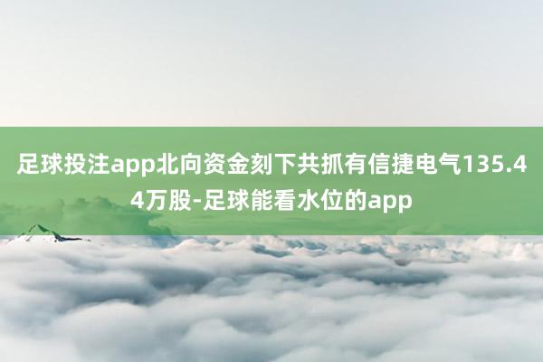 足球投注app北向资金刻下共抓有信捷电气135.44万股-足球能看水位的app