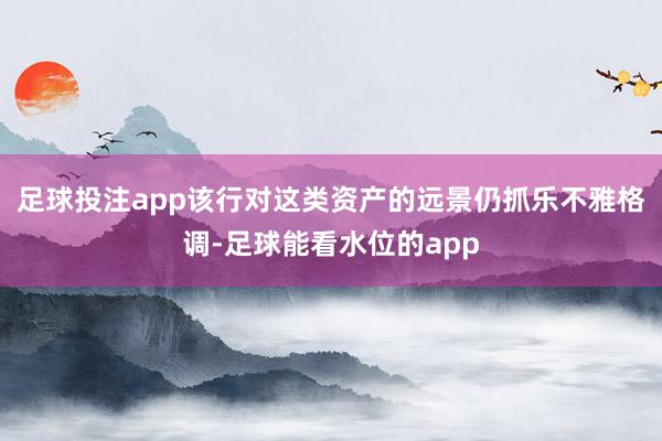 足球投注app该行对这类资产的远景仍抓乐不雅格调-足球能看水位的app