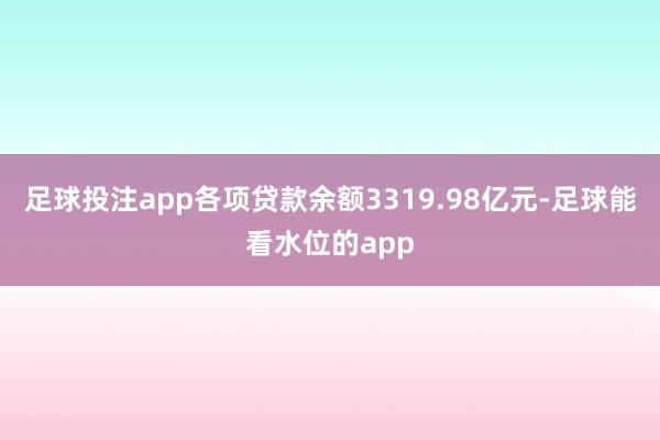 足球投注app各项贷款余额3319.98亿元-足球能看水位的app