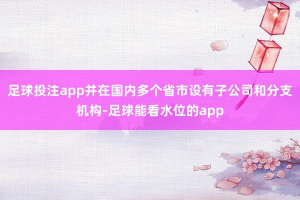 足球投注app并在国内多个省市设有子公司和分支机构-足球能看水位的app