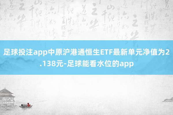 足球投注app中原沪港通恒生ETF最新单元净值为2.138元-足球能看水位的app