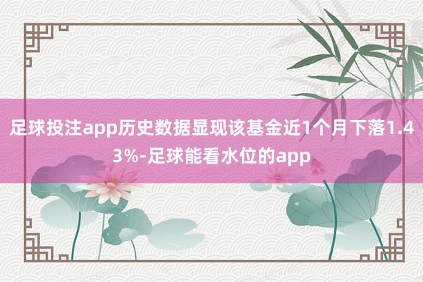 足球投注app历史数据显现该基金近1个月下落1.43%-足球能看水位的app