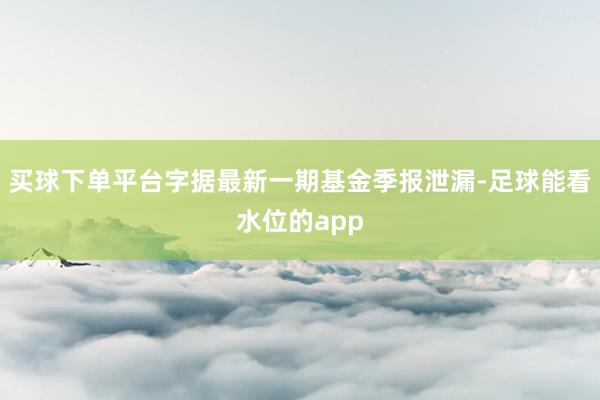 买球下单平台字据最新一期基金季报泄漏-足球能看水位的app