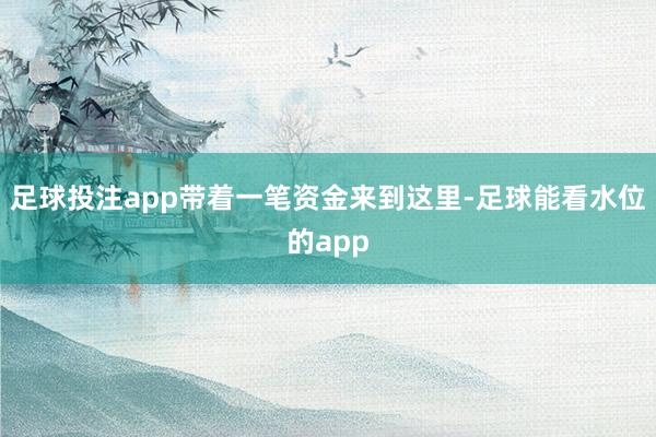 足球投注app带着一笔资金来到这里-足球能看水位的app