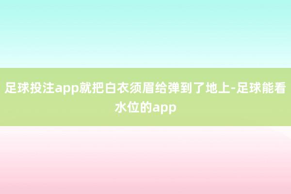 足球投注app就把白衣须眉给弹到了地上-足球能看水位的app