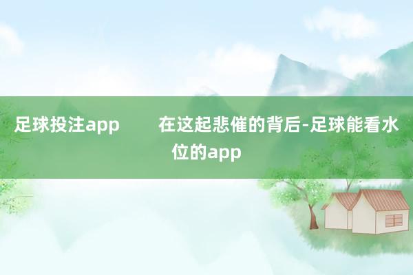 足球投注app        在这起悲催的背后-足球能看水位的app