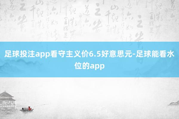 足球投注app看守主义价6.5好意思元-足球能看水位的app