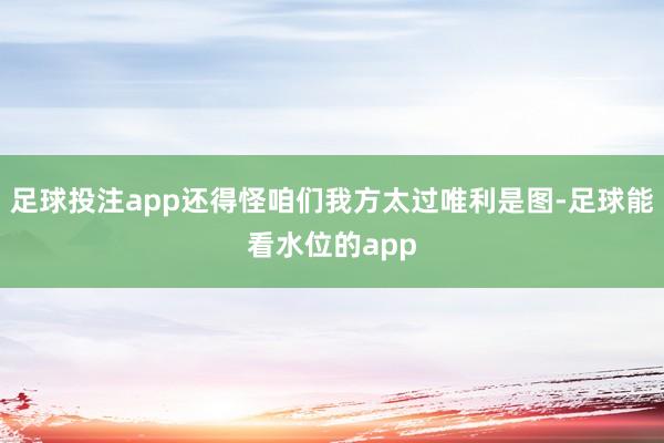 足球投注app还得怪咱们我方太过唯利是图-足球能看水位的app