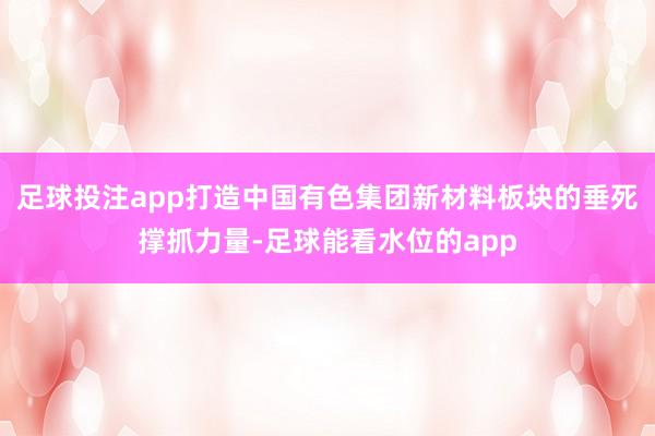 足球投注app打造中国有色集团新材料板块的垂死撑抓力量-足球能看水位的app