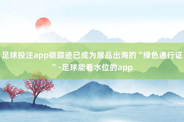 足球投注app碳踪迹已成为居品出海的“绿色通行证”-足球能看水位的app