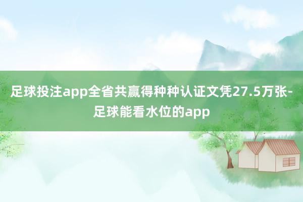 足球投注app全省共赢得种种认证文凭27.5万张-足球能看水位的app