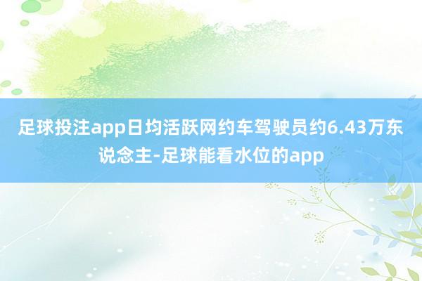 足球投注app日均活跃网约车驾驶员约6.43万东说念主-足球能看水位的app