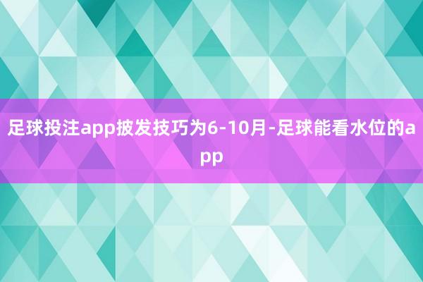 足球投注app披发技巧为6-10月-足球能看水位的app