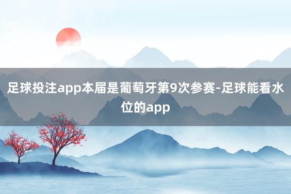 足球投注app本届是葡萄牙第9次参赛-足球能看水位的app