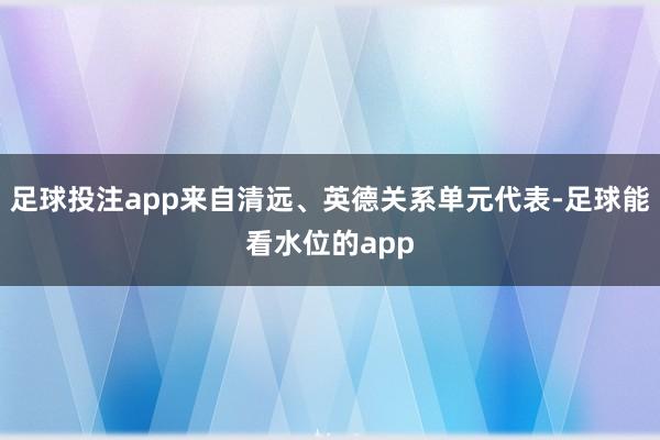 足球投注app来自清远、英德关系单元代表-足球能看水位的app