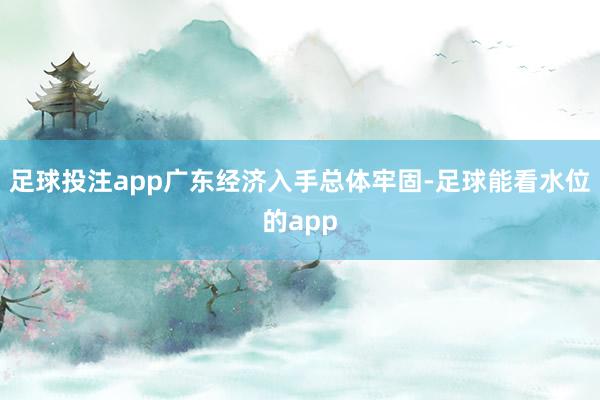 足球投注app广东经济入手总体牢固-足球能看水位的app