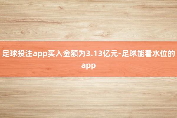 足球投注app买入金额为3.13亿元-足球能看水位的app