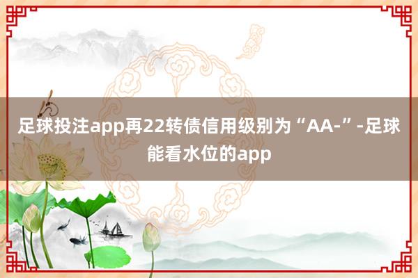 足球投注app再22转债信用级别为“AA-”-足球能看水位的app