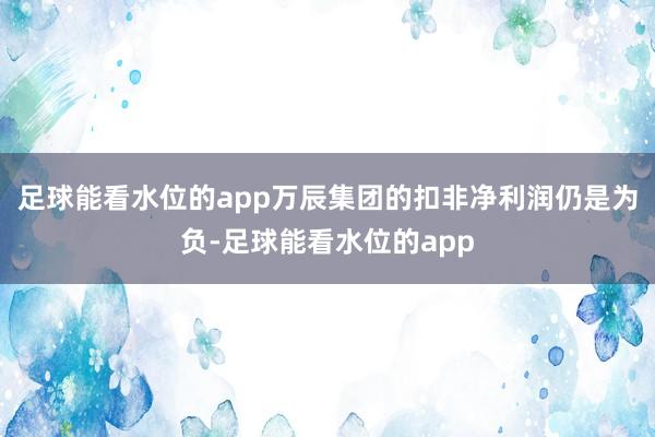 足球能看水位的app万辰集团的扣非净利润仍是为负-足球能看水位的app