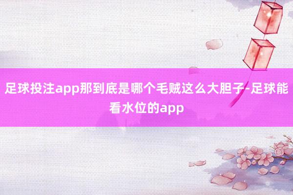 足球投注app那到底是哪个毛贼这么大胆子-足球能看水位的app