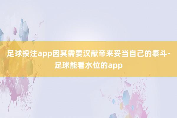 足球投注app因其需要汉献帝来妥当自己的泰斗-足球能看水位的app