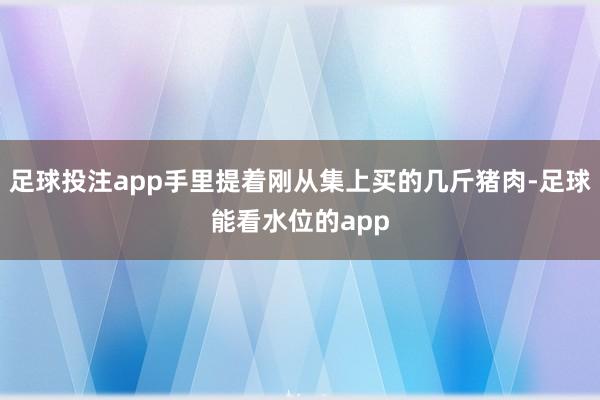 足球投注app手里提着刚从集上买的几斤猪肉-足球能看水位的app