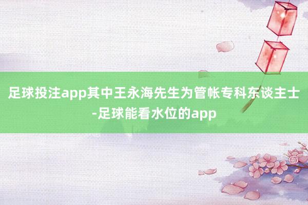 足球投注app其中王永海先生为管帐专科东谈主士-足球能看水位的app