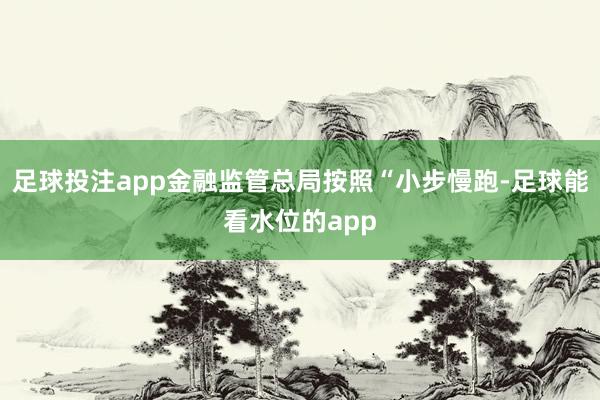 足球投注app金融监管总局按照“小步慢跑-足球能看水位的app