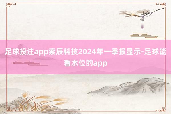 足球投注app索辰科技2024年一季报显示-足球能看水位的app