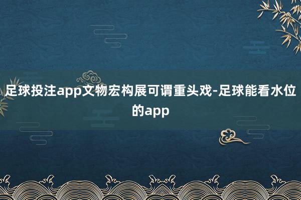 足球投注app文物宏构展可谓重头戏-足球能看水位的app