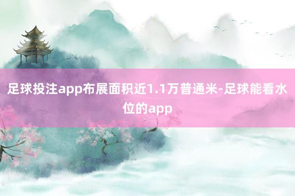 足球投注app布展面积近1.1万普通米-足球能看水位的app