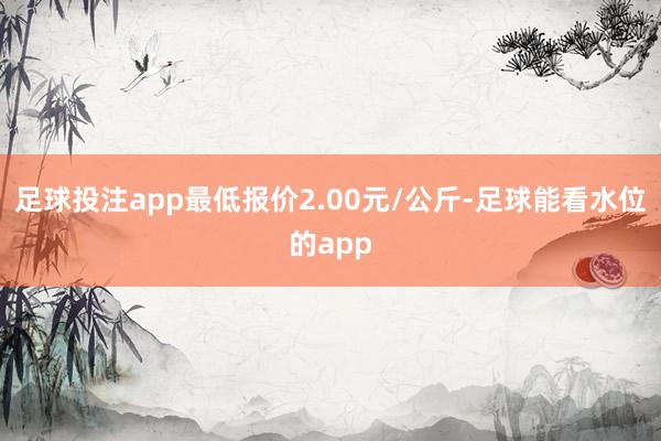 足球投注app最低报价2.00元/公斤-足球能看水位的app