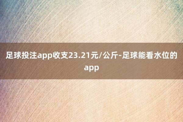 足球投注app收支23.21元/公斤-足球能看水位的app