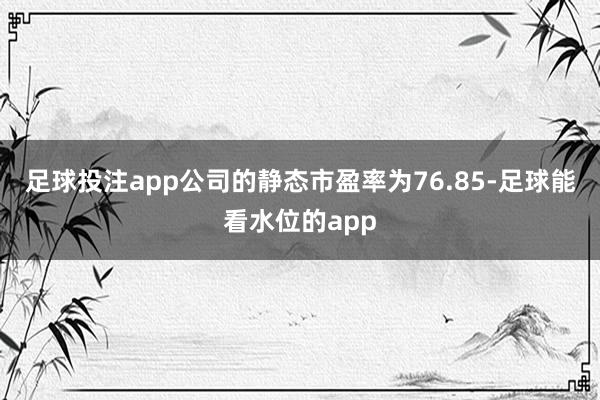 足球投注app公司的静态市盈率为76.85-足球能看水位的app