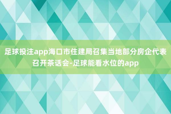 足球投注app海口市住建局召集当地部分房企代表召开茶话会-足球能看水位的app