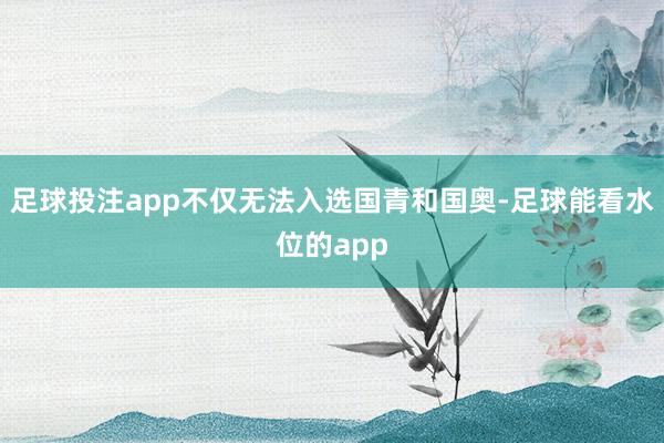 足球投注app不仅无法入选国青和国奥-足球能看水位的app